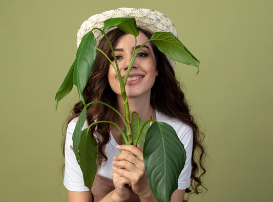Glowing Skin Made Simple: Why Heartleaf is Your Next Skincare Staple